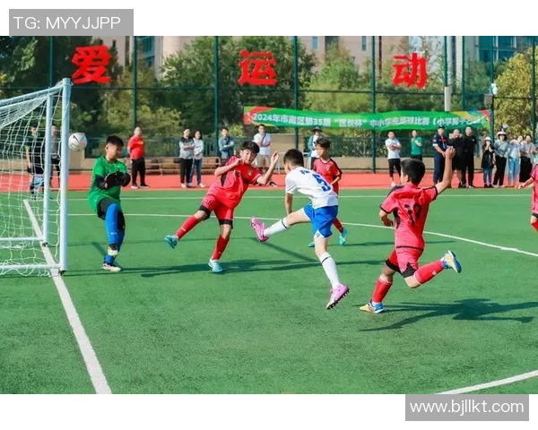 小白在绿茵场上的辉煌与坚持展现足球艺术魅力 小白在绿茵场上的辉煌与坚持展现足球艺术魅力